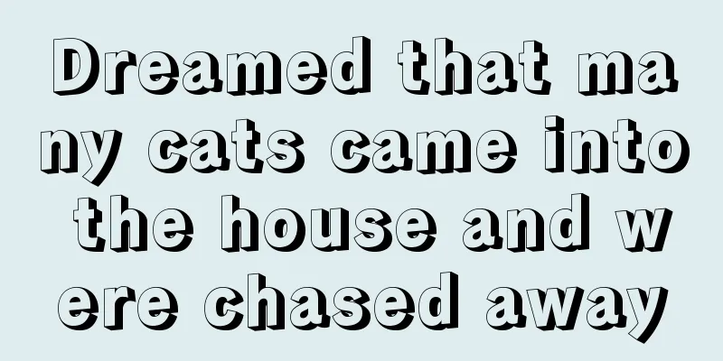 Dreamed that many cats came into the house and were chased away