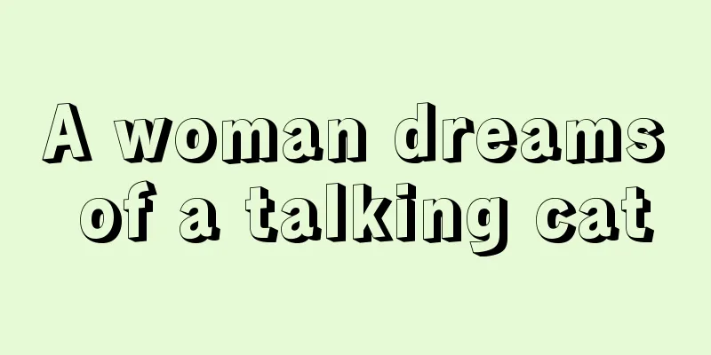 A woman dreams of a talking cat