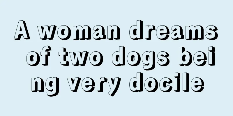 A woman dreams of two dogs being very docile