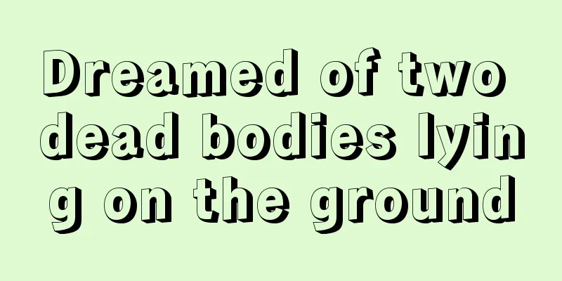 Dreamed of two dead bodies lying on the ground