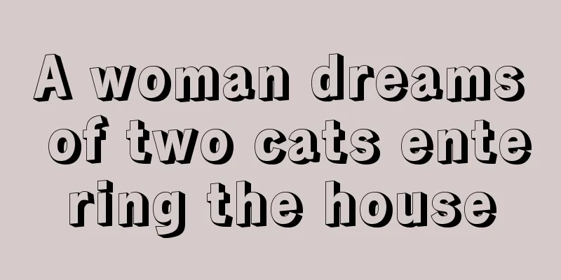 A woman dreams of two cats entering the house