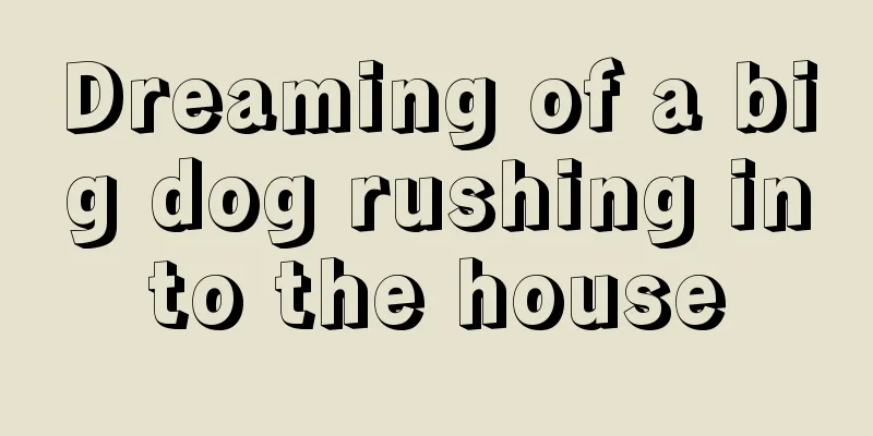 Dreaming of a big dog rushing into the house