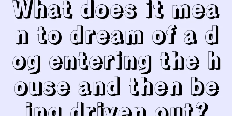 What does it mean to dream of a dog entering the house and then being driven out?