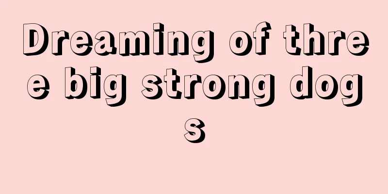 Dreaming of three big strong dogs