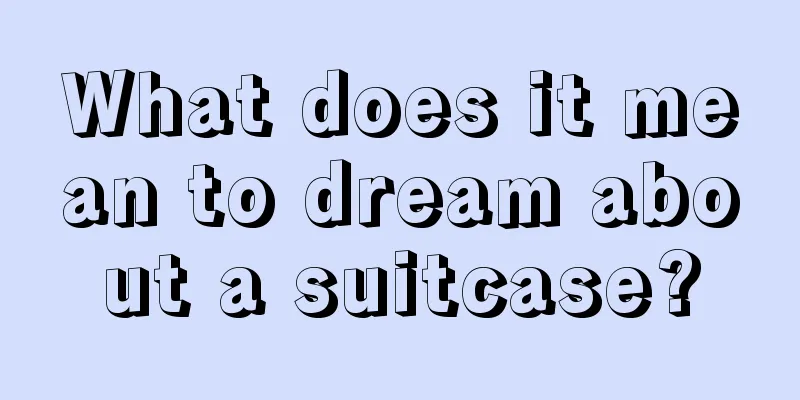 What does it mean to dream about a suitcase?