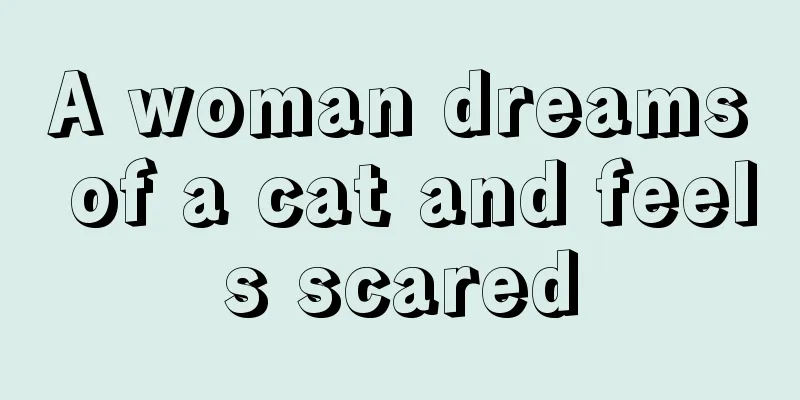 A woman dreams of a cat and feels scared