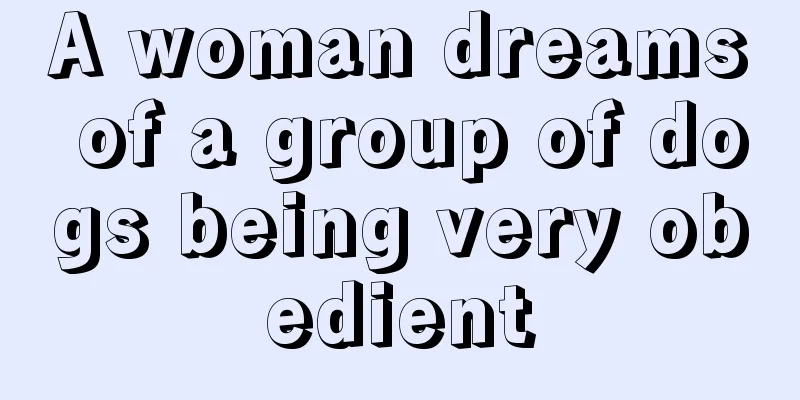 A woman dreams of a group of dogs being very obedient