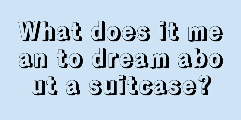 What does it mean to dream about a suitcase?