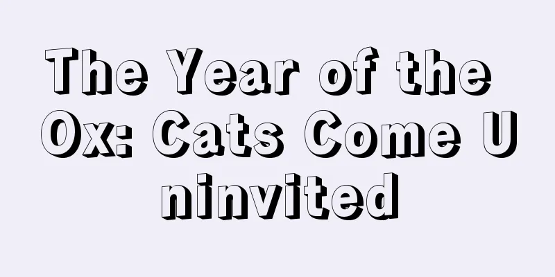 The Year of the Ox: Cats Come Uninvited