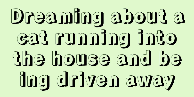 Dreaming about a cat running into the house and being driven away