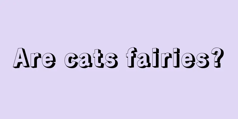 Are cats fairies?