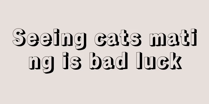 Seeing cats mating is bad luck