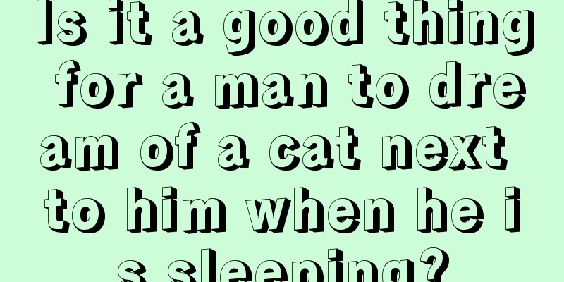 Is it a good thing for a man to dream of a cat next to him when he is sleeping?