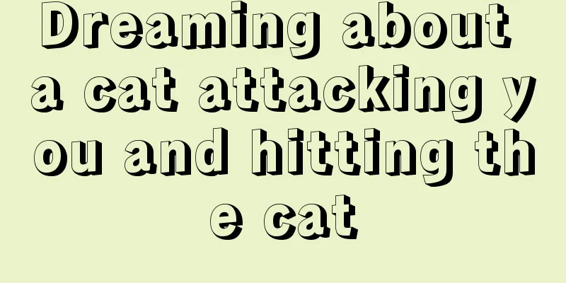 Dreaming about a cat attacking you and hitting the cat