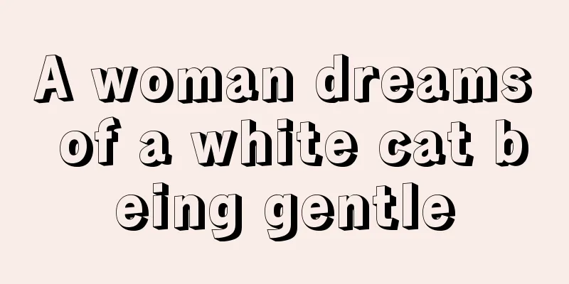 A woman dreams of a white cat being gentle