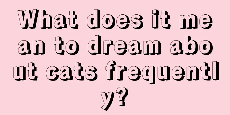 What does it mean to dream about cats frequently?