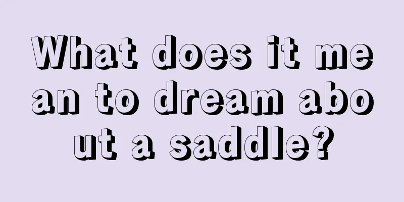 What does it mean to dream about a saddle?