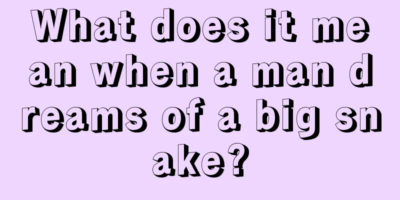 What does it mean when a man dreams of a big snake?