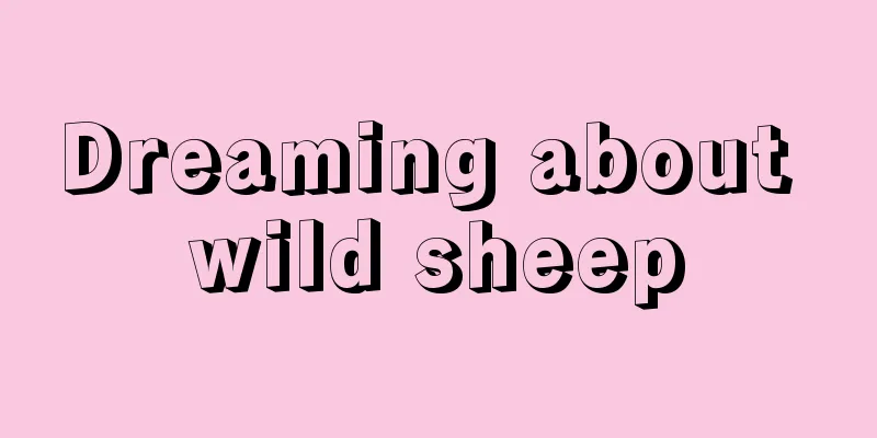 Dreaming about wild sheep