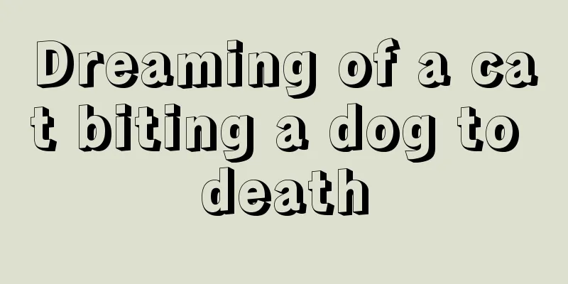 Dreaming of a cat biting a dog to death