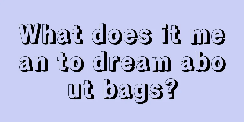 What does it mean to dream about bags?