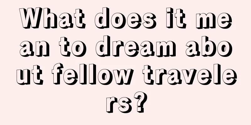 What does it mean to dream about fellow travelers?