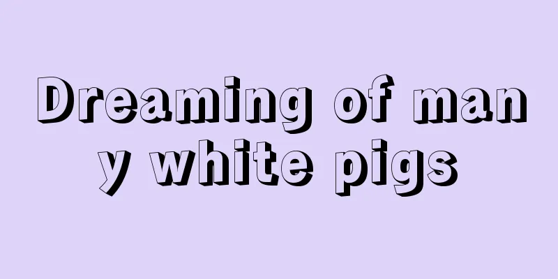 Dreaming of many white pigs