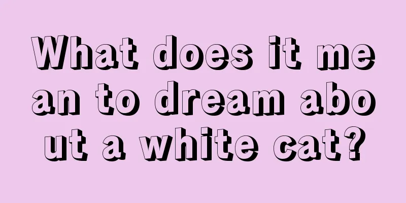 What does it mean to dream about a white cat?