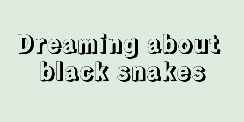 Dreaming about black snakes