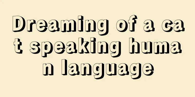 Dreaming of a cat speaking human language