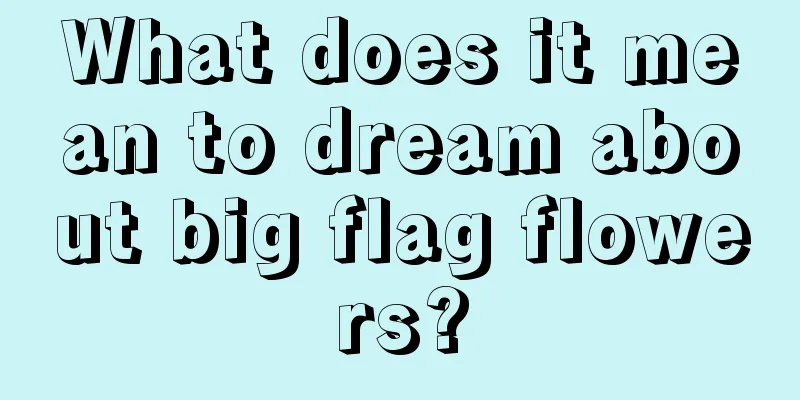 What does it mean to dream about big flag flowers?