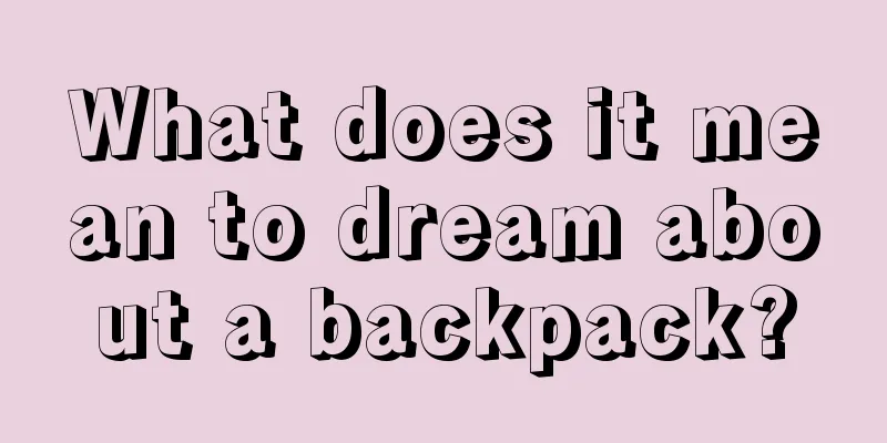 What does it mean to dream about a backpack?