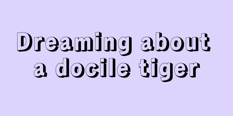 Dreaming about a docile tiger