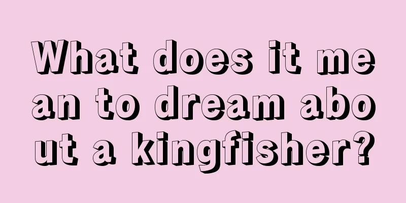 What does it mean to dream about a kingfisher?