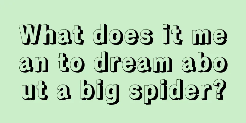 What does it mean to dream about a big spider?