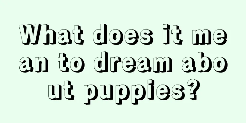 What does it mean to dream about puppies?