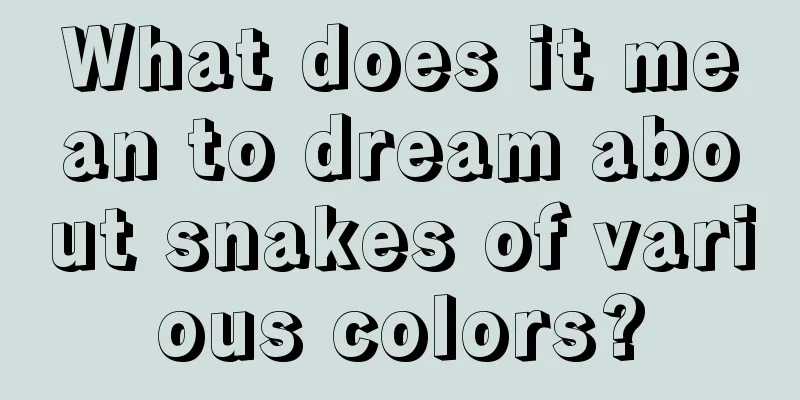 What does it mean to dream about snakes of various colors?