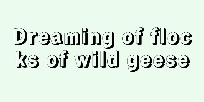 Dreaming of flocks of wild geese