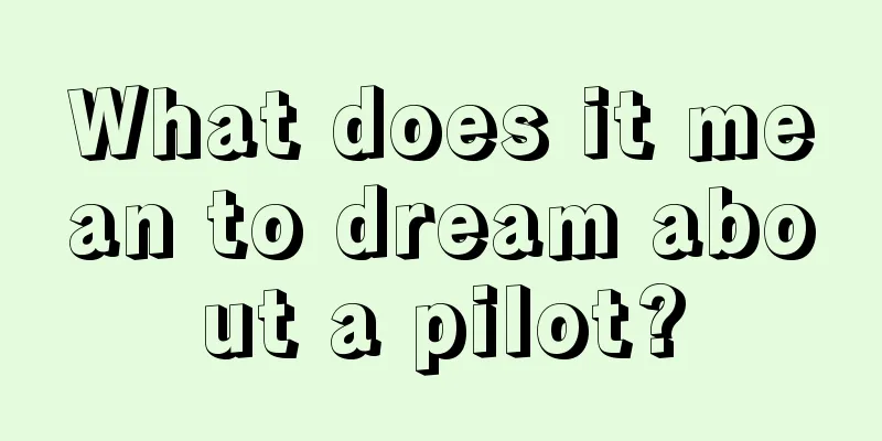 What does it mean to dream about a pilot?