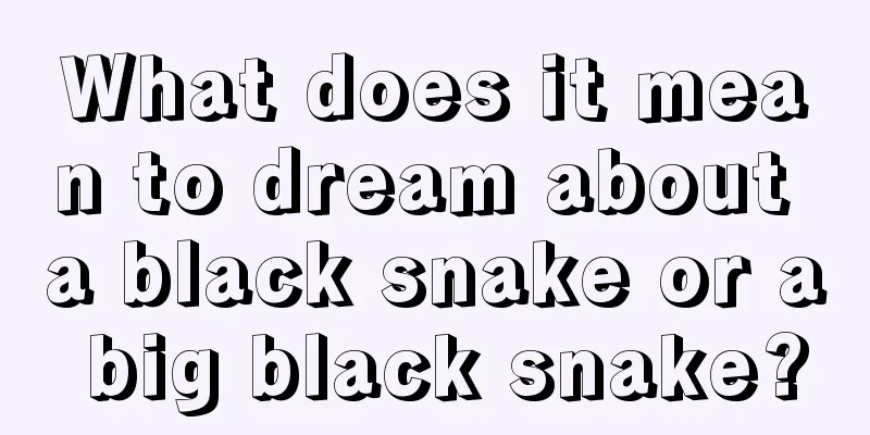 What does it mean to dream about a black snake or a big black snake?