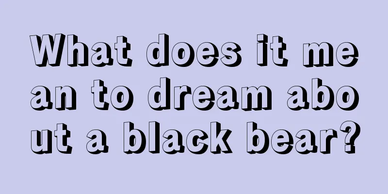 What does it mean to dream about a black bear?