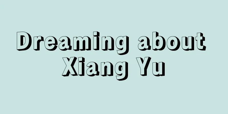 Dreaming about Xiang Yu