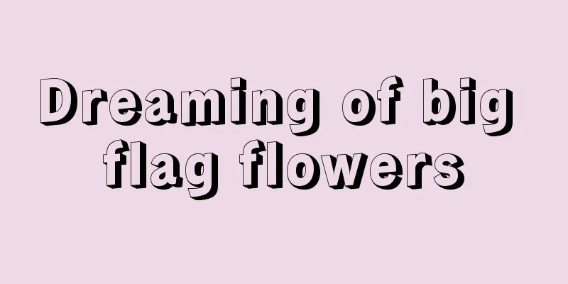 Dreaming of big flag flowers