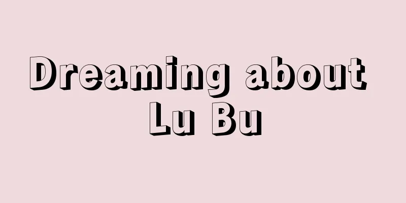 Dreaming about Lu Bu