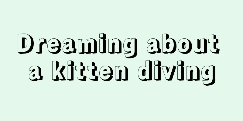 Dreaming about a kitten diving