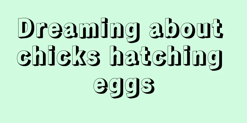 Dreaming about chicks hatching eggs