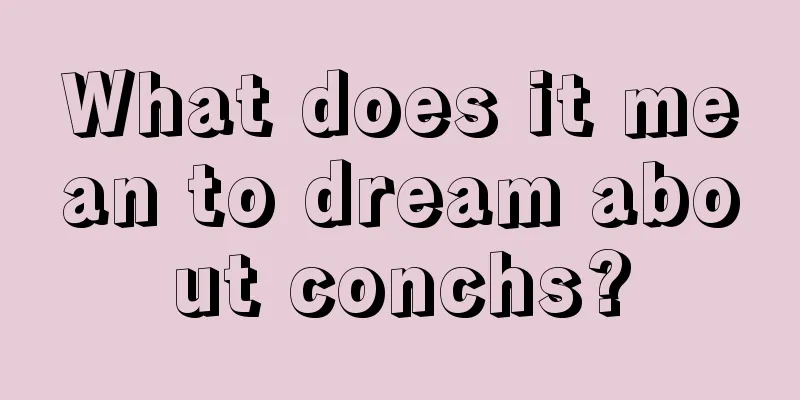 What does it mean to dream about conchs?