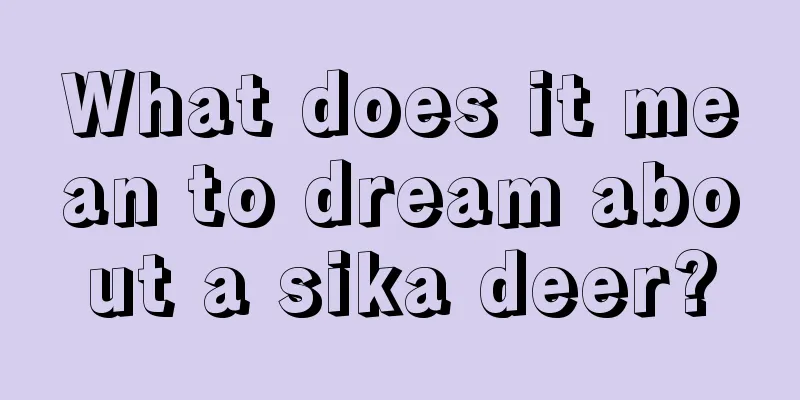 What does it mean to dream about a sika deer?