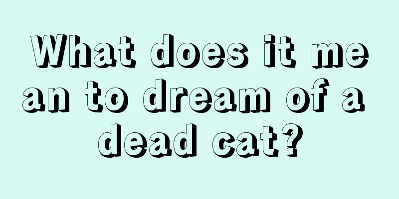 What does it mean to dream of a dead cat?