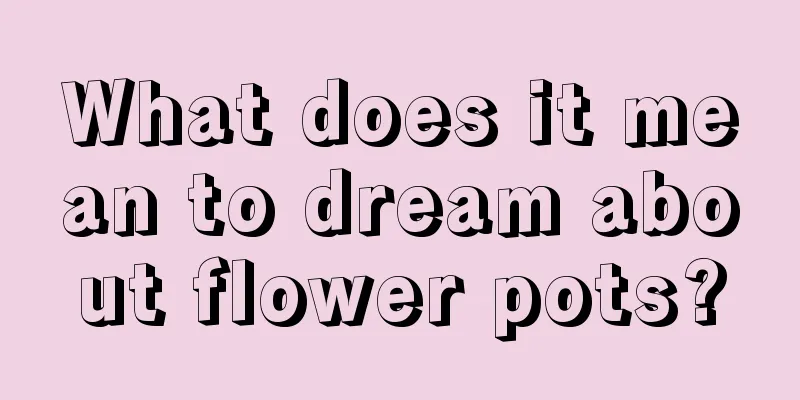 What does it mean to dream about flower pots?